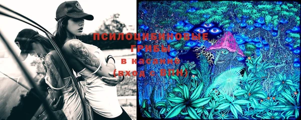 мет Богданович