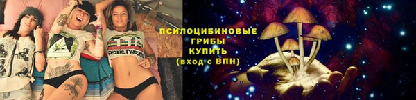 герыч Богородицк