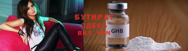 стаф Бородино