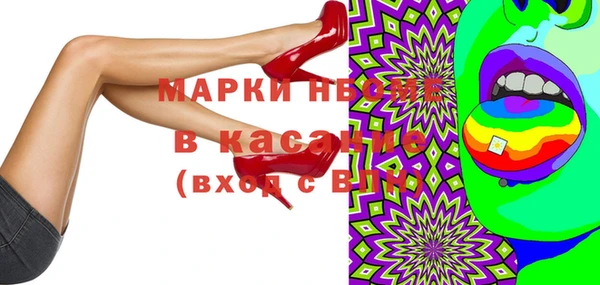 стаф Бородино
