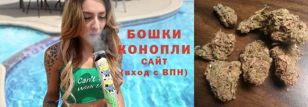 спиды Богородск