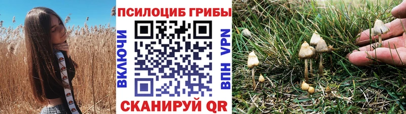 ОМГ ОМГ tor  Южа  Псилоцибиновые грибы прущие грибы 